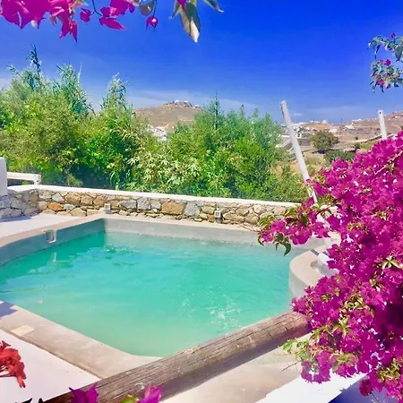 Hébergement de vacances Melpomeni - Private Pool @ Ornos Mykonos *